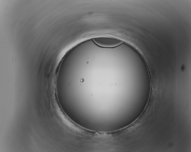 X0000116771526200912241153