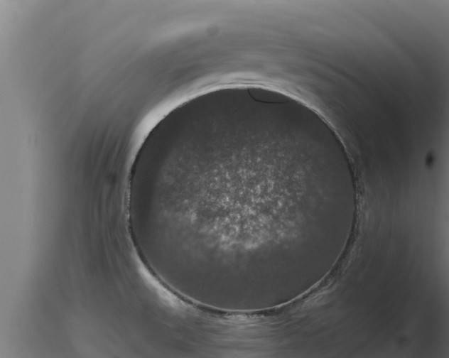 X0000116771527200912241153