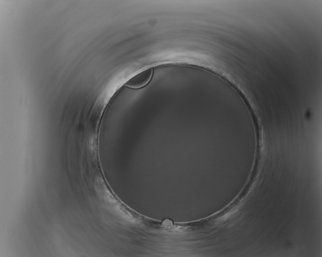 X0000116771529200912241153