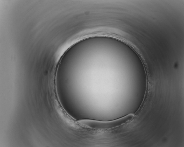 X0000116771530200912241153