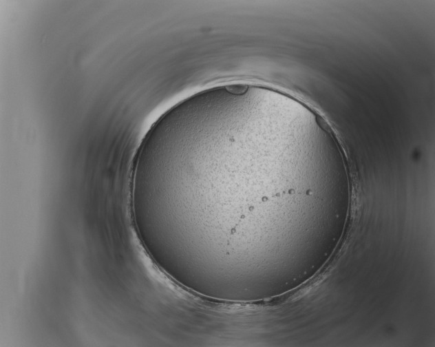 X0000116771534200912241153
