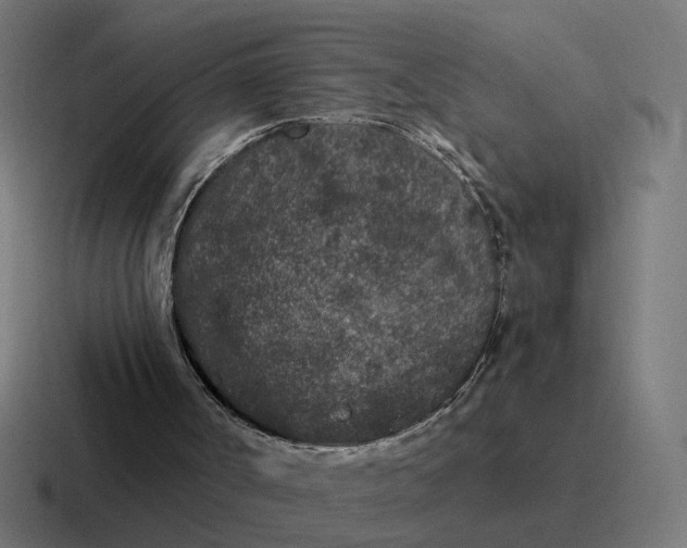 X0000116770002200912311847