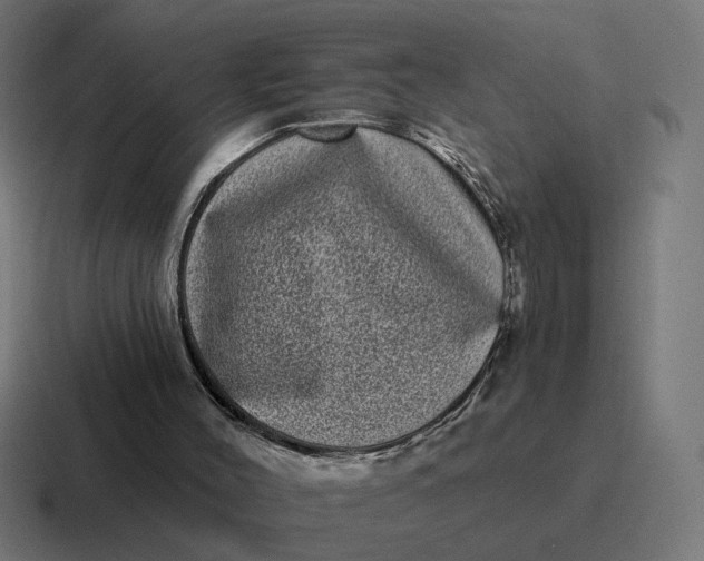 X0000116770004200912311847