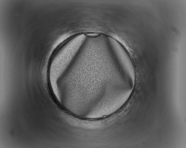 X0000116770008200912311847