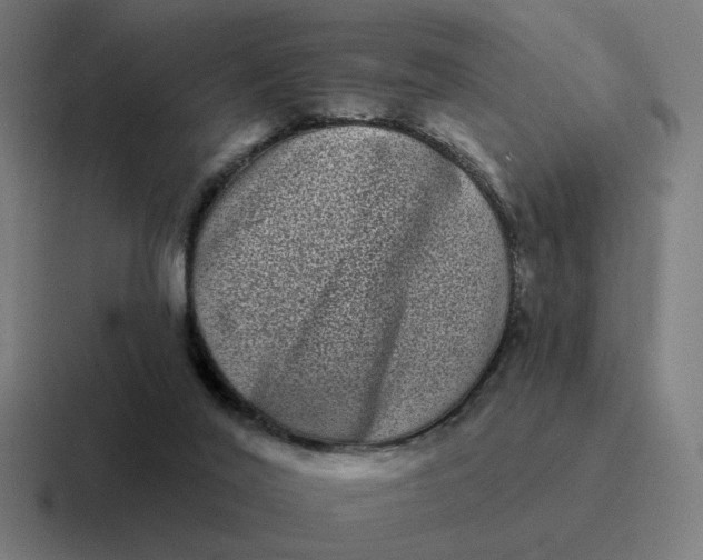 X0000116770020200912311847