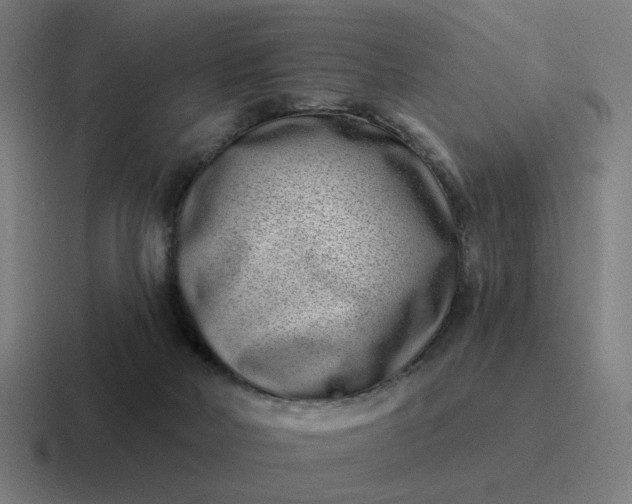 X0000116770026200912311847