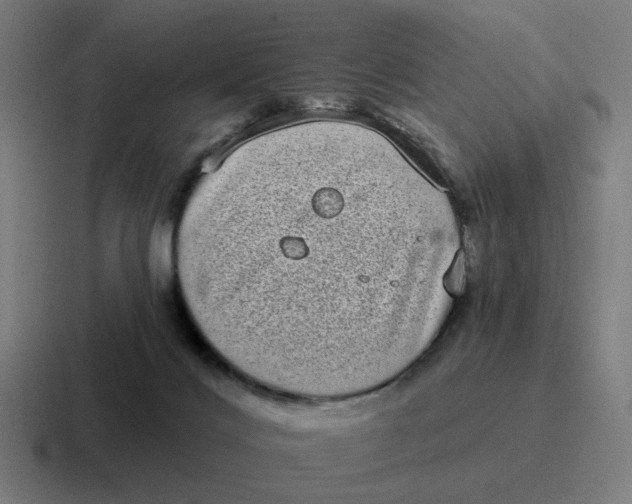 X0000116770028200912311847