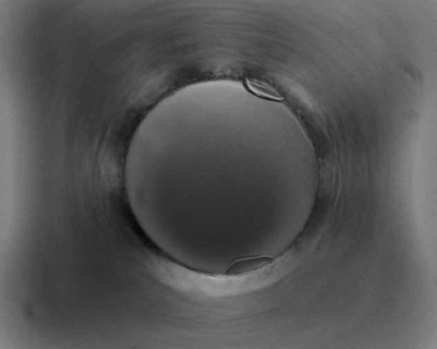 X0000116770039200912311846