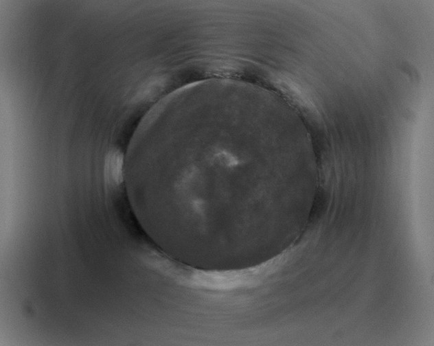 X0000116770041200912311846