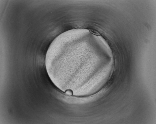X0000116770048200912311846