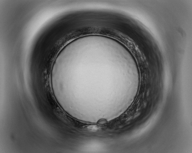 X0000116770050200912311846