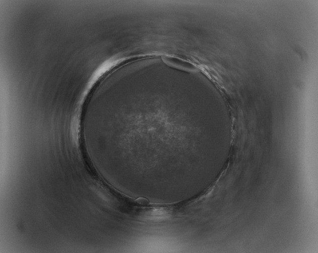 X0000116770056200912311846