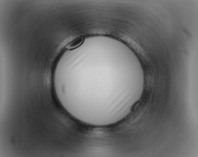 X0000116770064200912311846