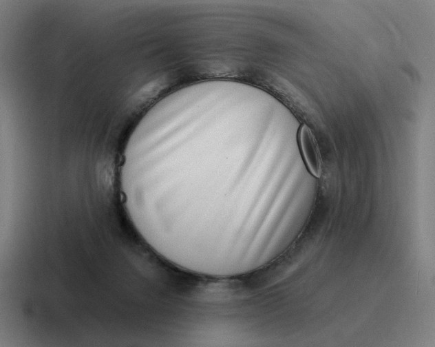 X0000116770072200912311846