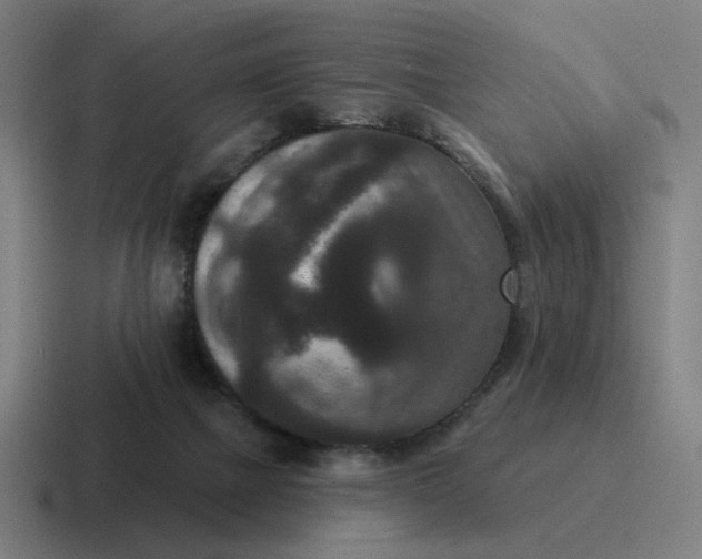 X0000116770073200912311846
