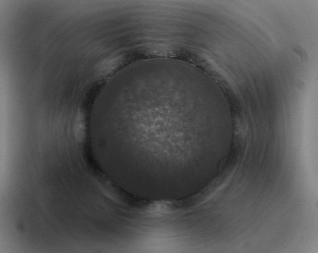 X0000116770080200912311846