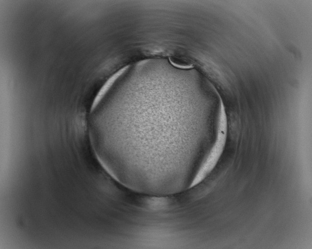 X0000116770085200912311846