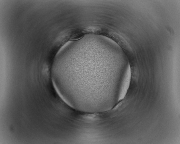 X0000116770086200912311846