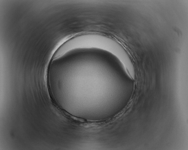 X0000116770100200912311846