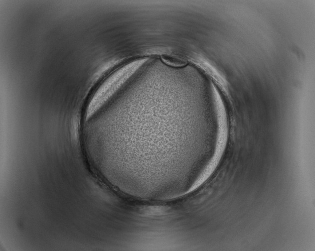 X0000116770107200912311846