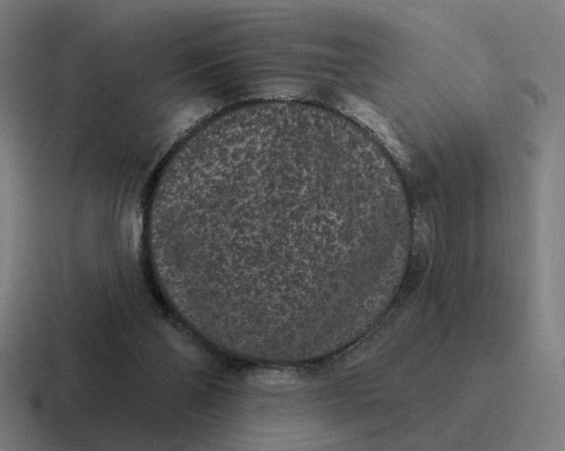 X0000116770110200912311846