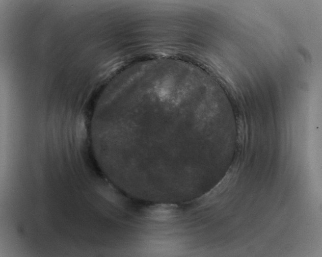 X0000116770128200912311845