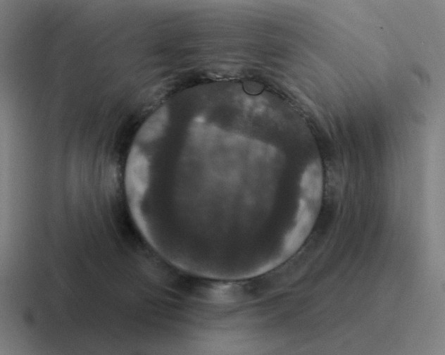 X0000116770130200912311845