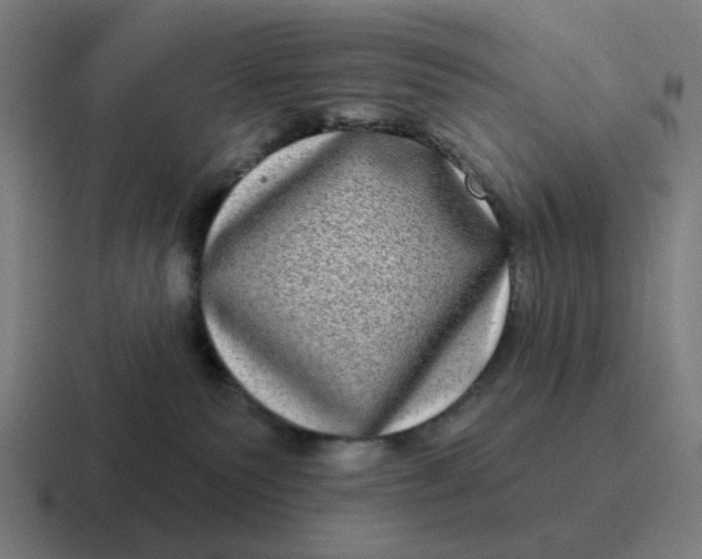 X0000116770135200912311845