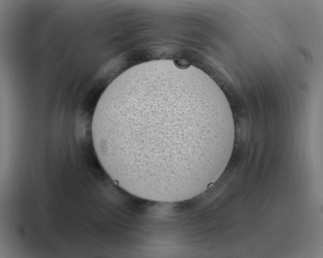 X0000116770138200912311845