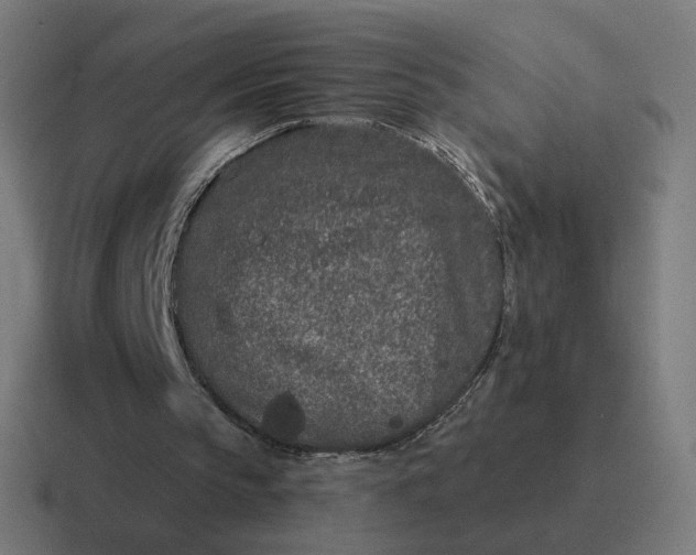 X0000116770145200912311844