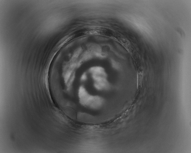 X0000116770147200912311845