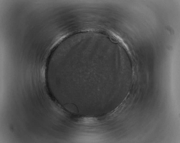 X0000116770154200912311845