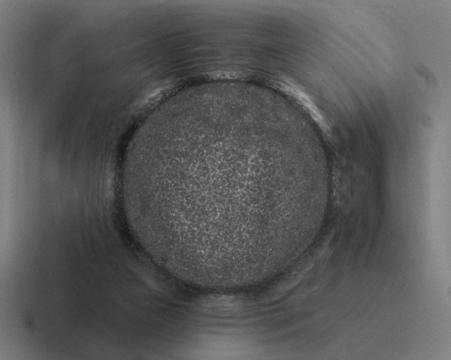 X0000116770161200912311845