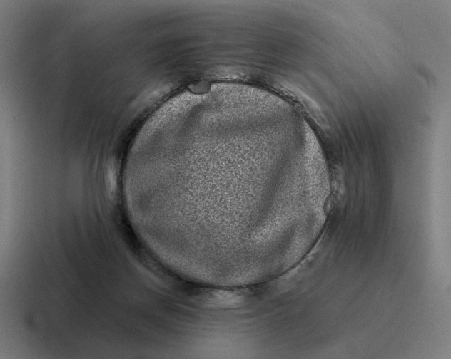 X0000116770166200912311845