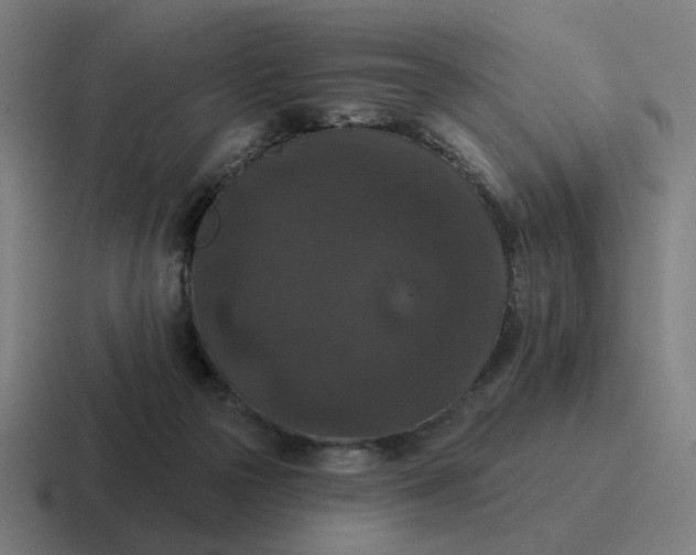 X0000116770169200912311845