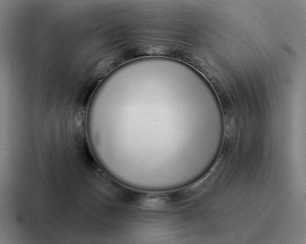 X0000116770175200912311845