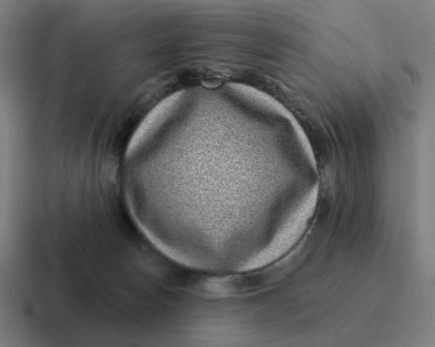 X0000116770178200912311845