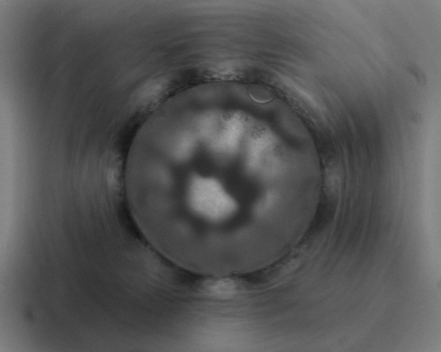 X0000116770181200912311845