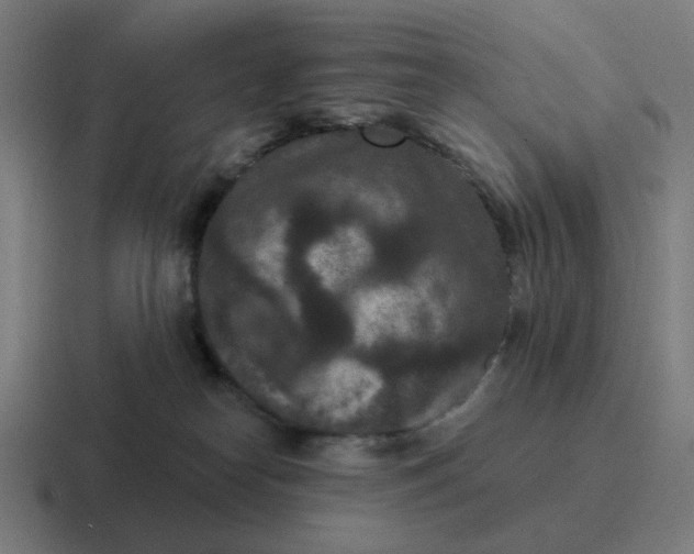 X0000116770182200912311845