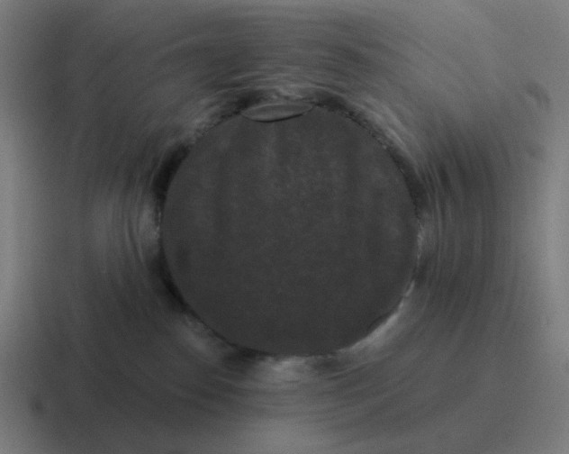 X0000116770186200912311845