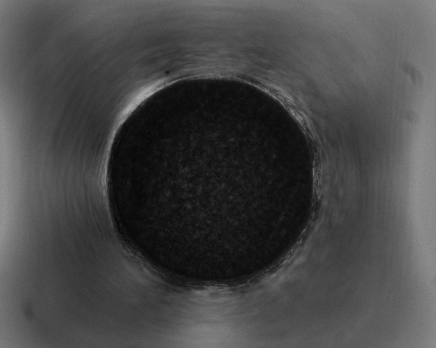 X0000116770196200912311844
