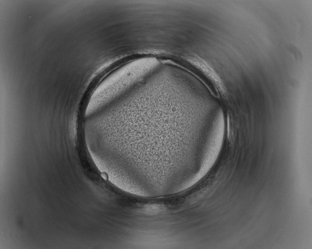 X0000116770204200912311844