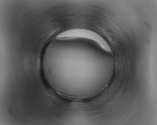 X0000116770211200912311844