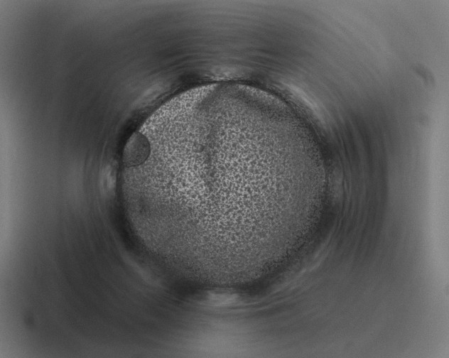 X0000116770214200912311844