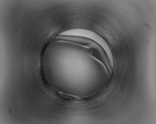 X0000116770215200912311844