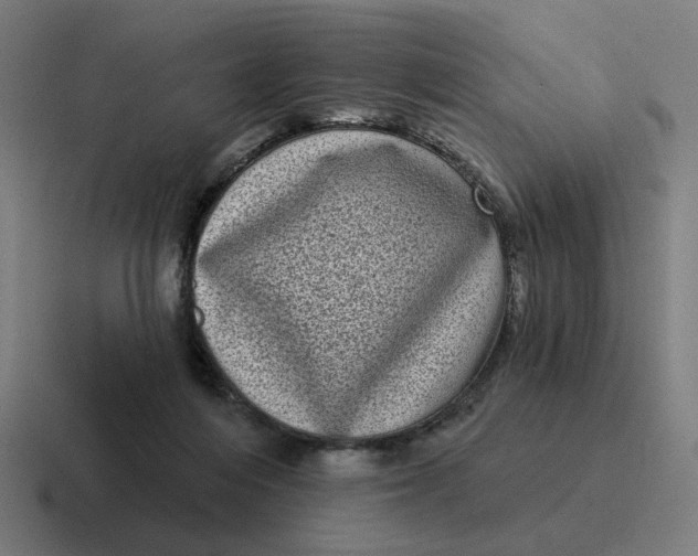 X0000116770216200912311844