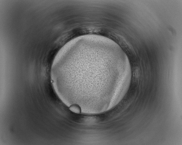 X0000116770218200912311844