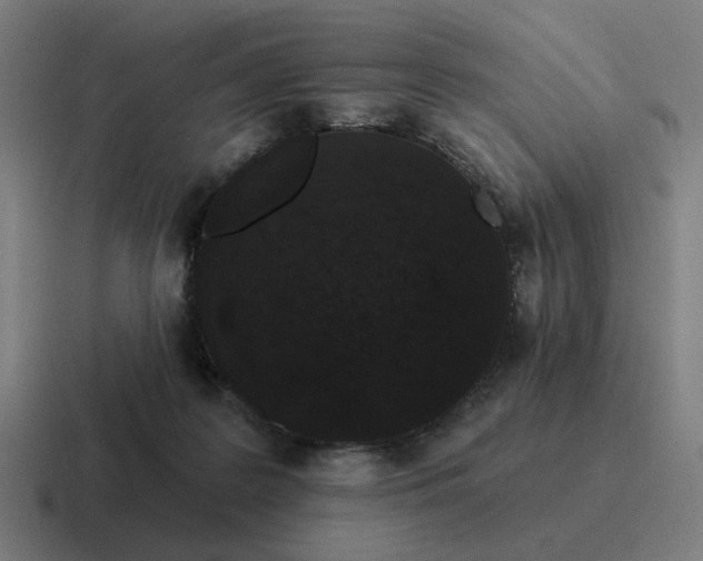 X0000116770219200912311844