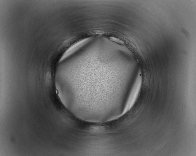 X0000116770220200912311844
