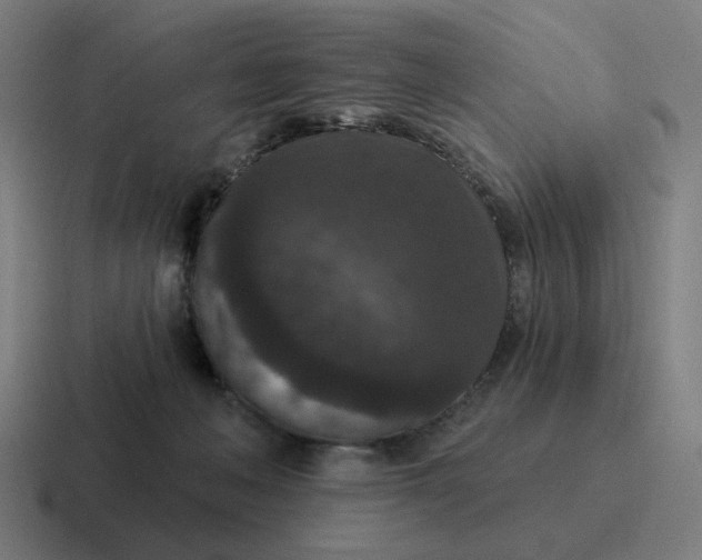 X0000116770222200912311844